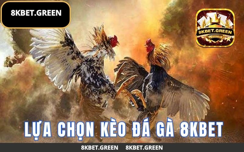 Cách lựa chọn kèo đá gà 8Kbet