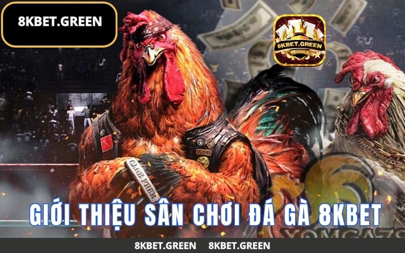 Giới thiệu sân chơi đá gà 8KBet