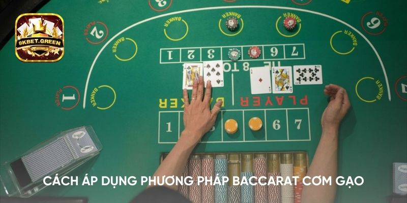 Cách áp dụng phương pháp Baccarat cơm gạo